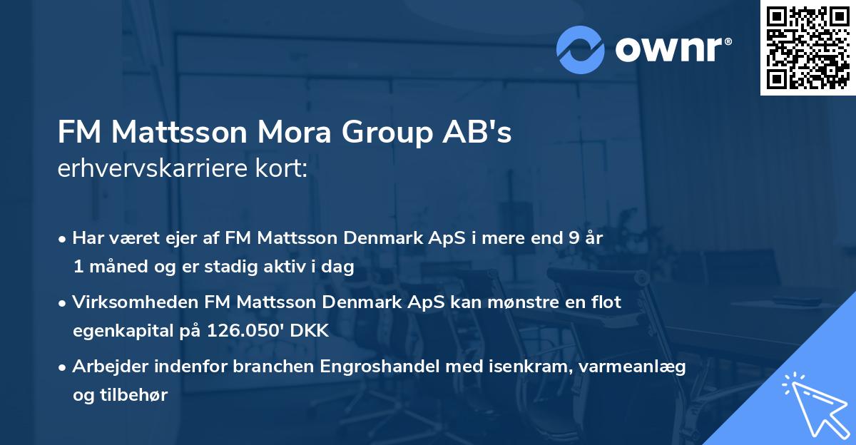 FM Mattsson Mora Group AB's erhvervskarriere kort