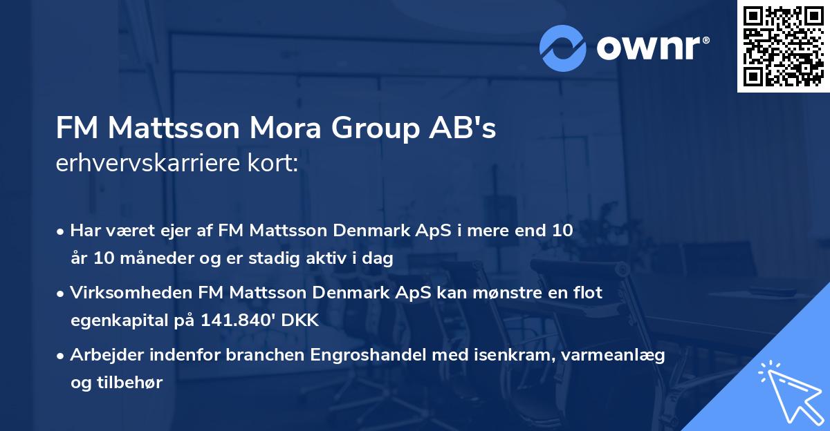 FM Mattsson Mora Group AB's erhvervskarriere kort
