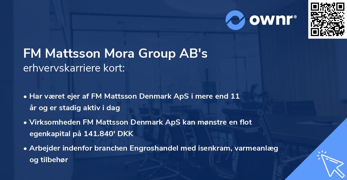 FM Mattsson Mora Group AB's erhvervskarriere kort