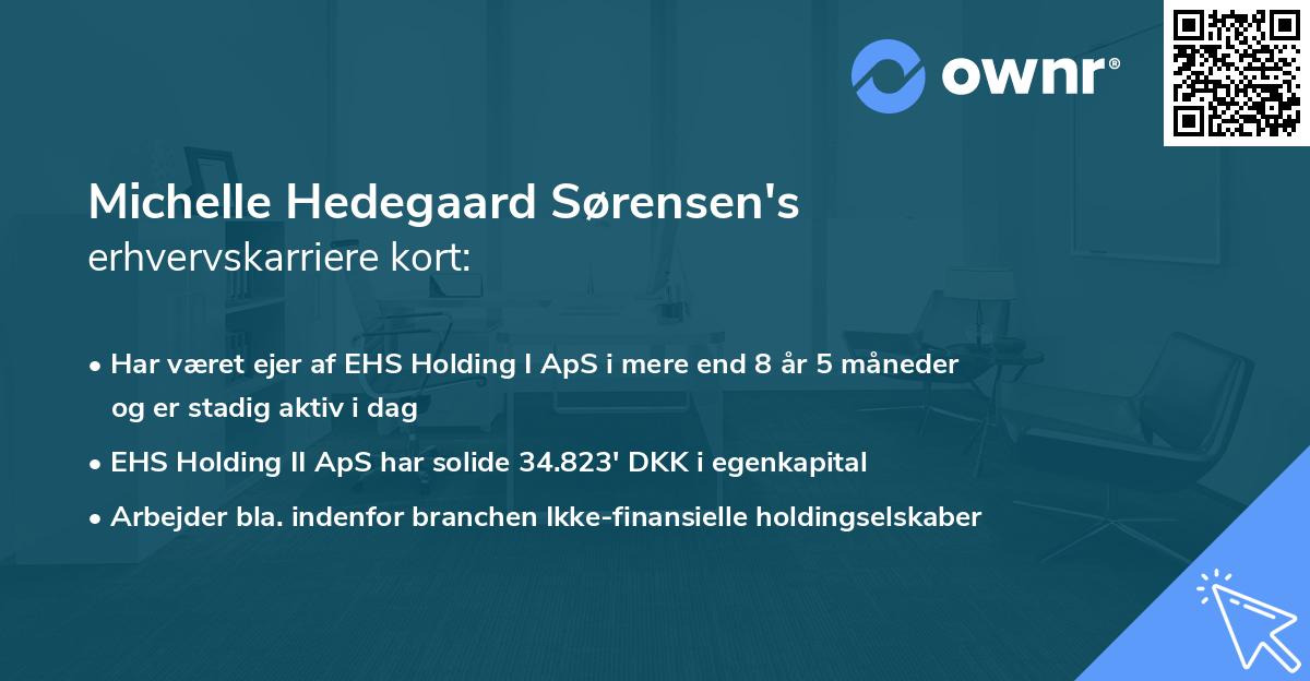 Michelle Hedegaard Sørensen's erhvervskarriere kort