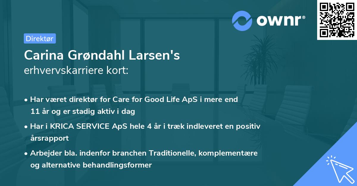 Carina Grøndahl Larsen's erhvervskarriere kort