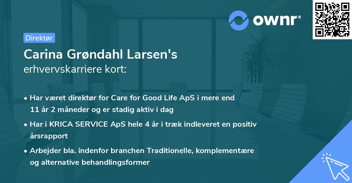 Carina Grøndahl Larsen's erhvervskarriere kort
