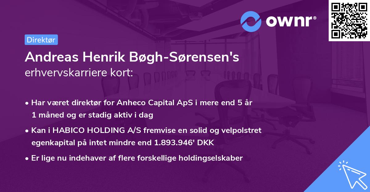 Andreas Henrik Bøgh-Sørensen's erhvervskarriere kort