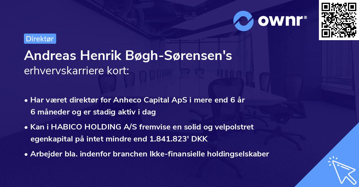 Andreas Henrik Bøgh-Sørensen's erhvervskarriere kort