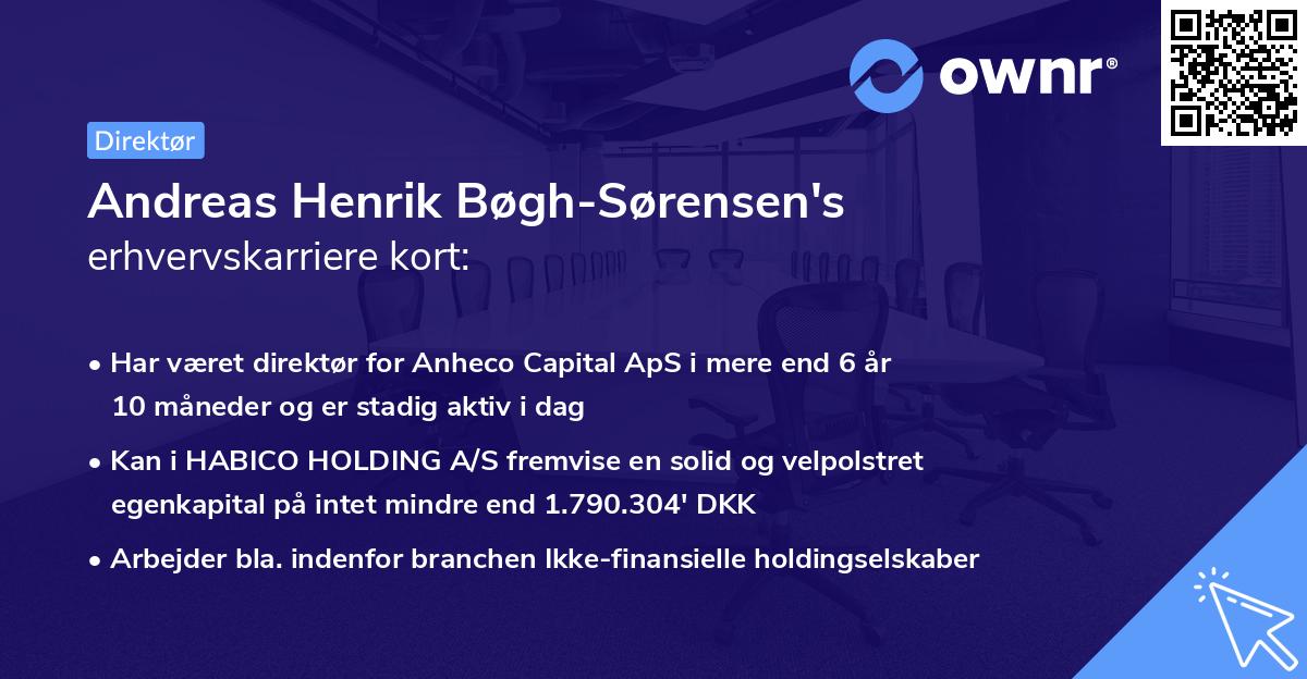 Andreas Henrik Bøgh-Sørensen's erhvervskarriere kort