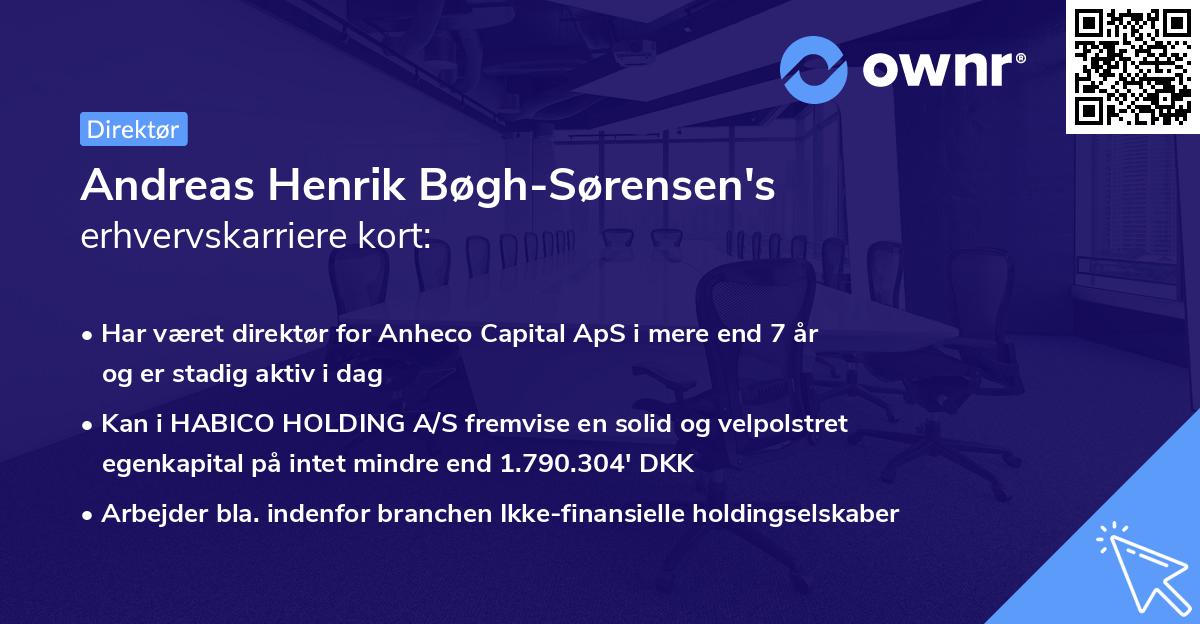 Andreas Henrik Bøgh-Sørensen's erhvervskarriere kort