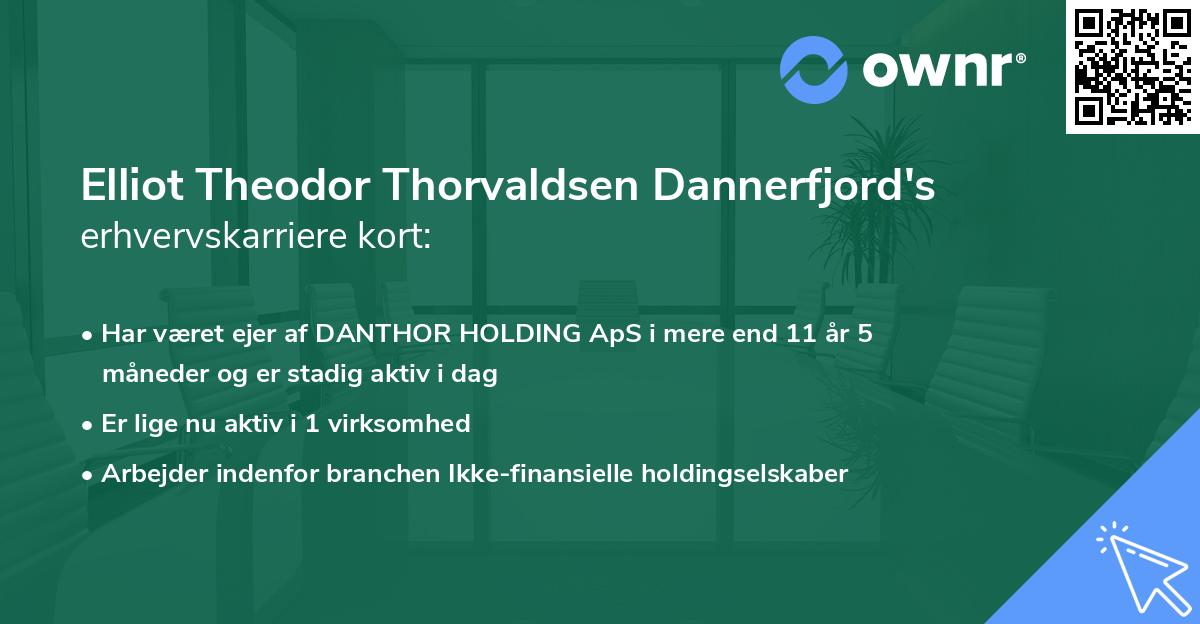 Elliot Theodor Thorvaldsen Dannerfjord's erhvervskarriere kort