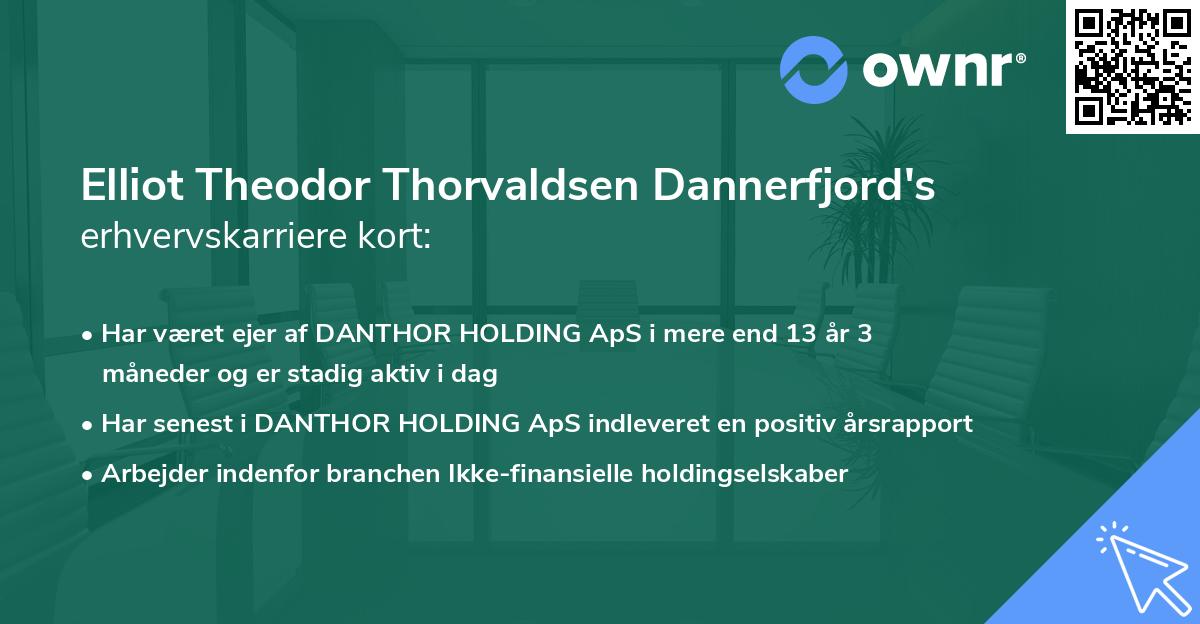Elliot Theodor Thorvaldsen Dannerfjord's erhvervskarriere kort