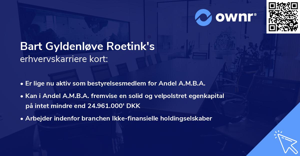 Bart Gyldenløve Roetink's erhvervskarriere kort