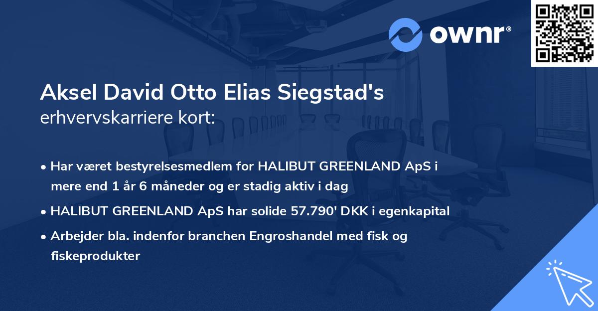 Aksel David Otto Elias Siegstad's erhvervskarriere kort