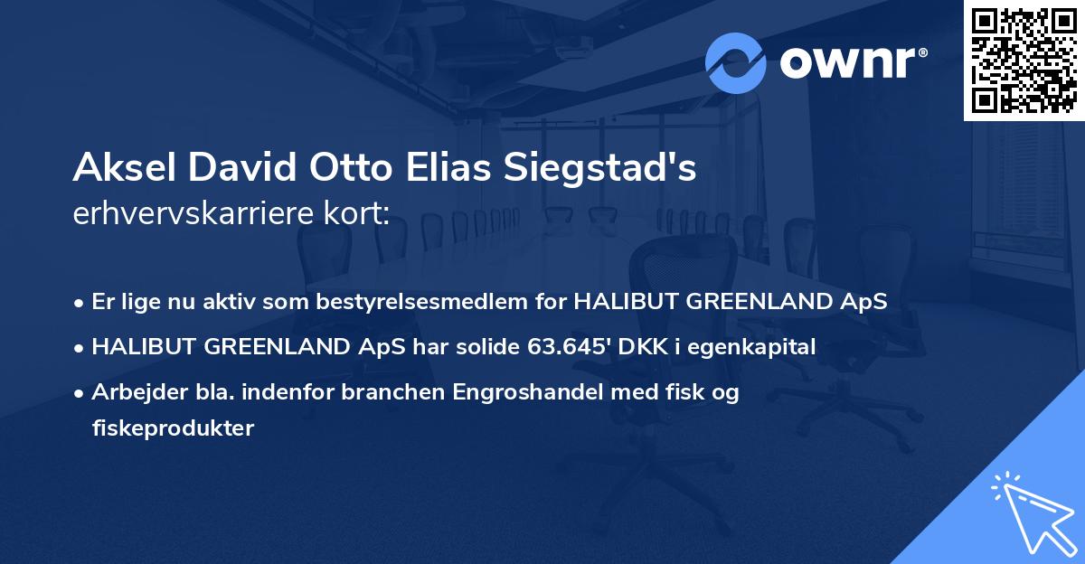 Aksel David Otto Elias Siegstad's erhvervskarriere kort