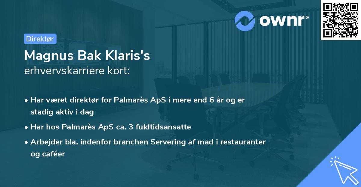 Magnus Bak Klaris's erhvervskarriere kort