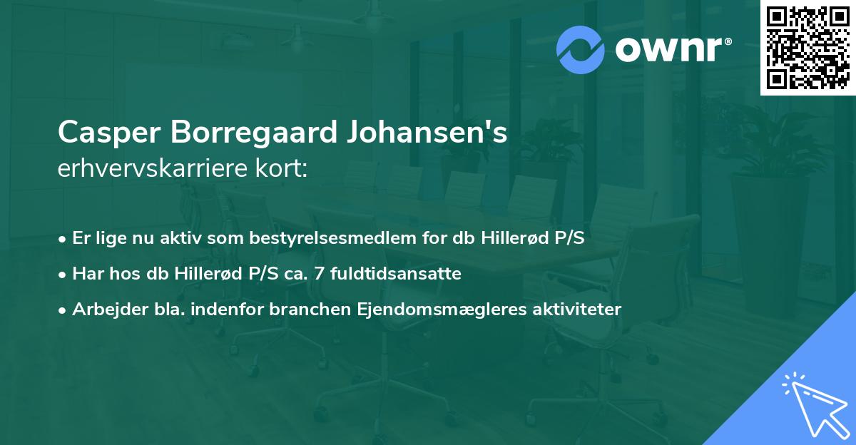 Casper Borregaard Johansen's erhvervskarriere kort