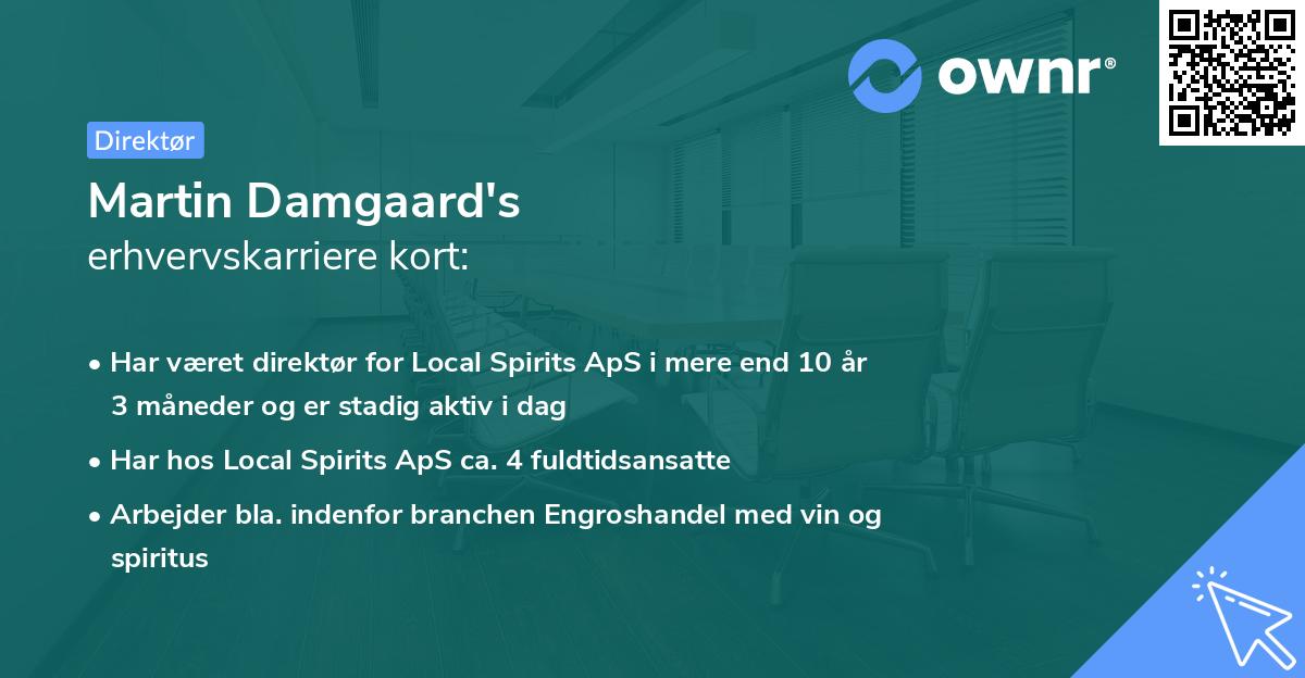 Martin Damgaard's erhvervskarriere kort