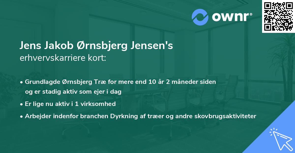 Jens Jakob Ørnsbjerg Jensen's erhvervskarriere kort