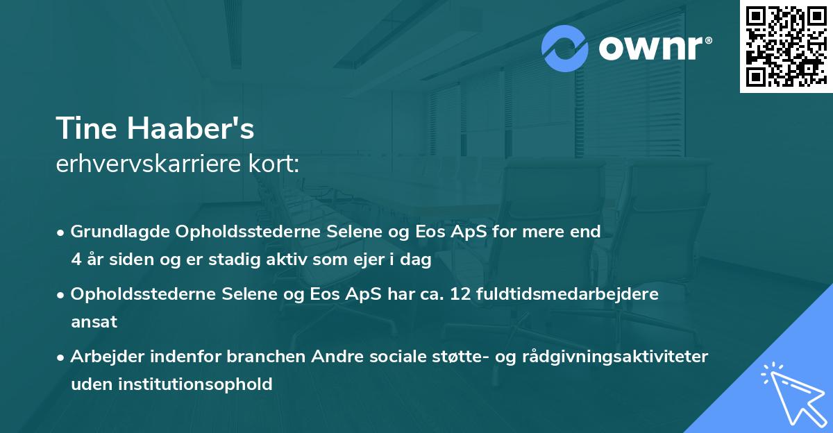 Tine Haaber's erhvervskarriere kort