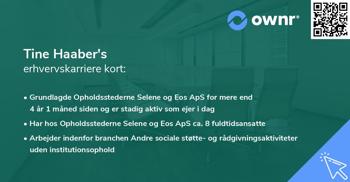 Tine Haaber's erhvervskarriere kort