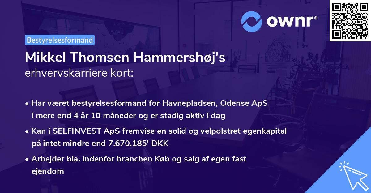 Mikkel Thomsen Hammershøj's erhvervskarriere kort