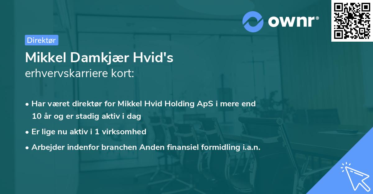 Mikkel Damkjær Hvid's erhvervskarriere kort