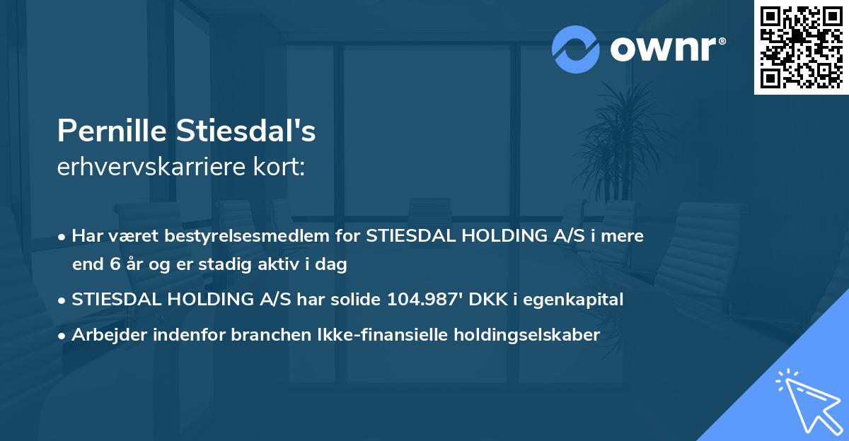 Pernille Stiesdal's erhvervskarriere kort