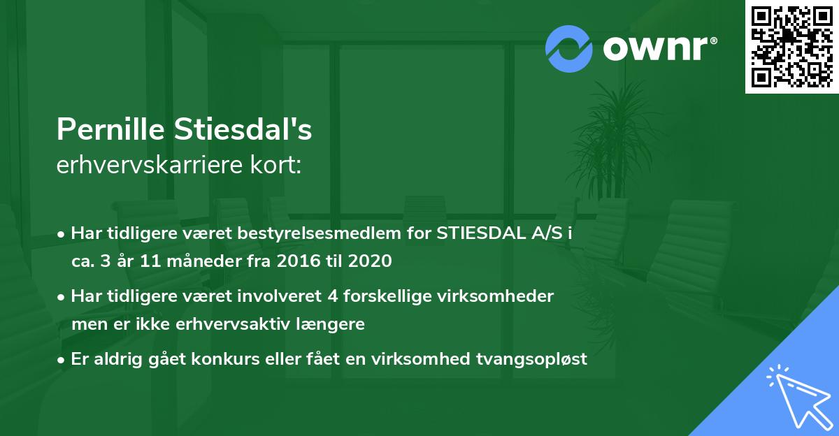 Pernille Stiesdal's erhvervskarriere kort