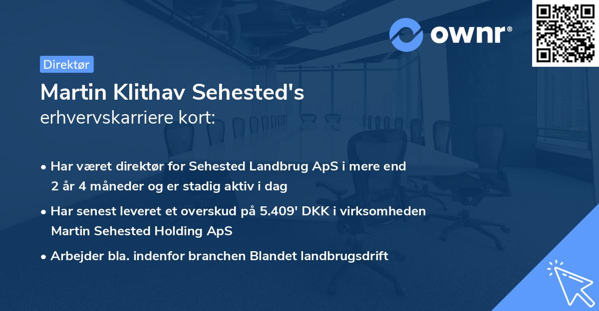 Martin Klithav Sehested's erhvervskarriere kort