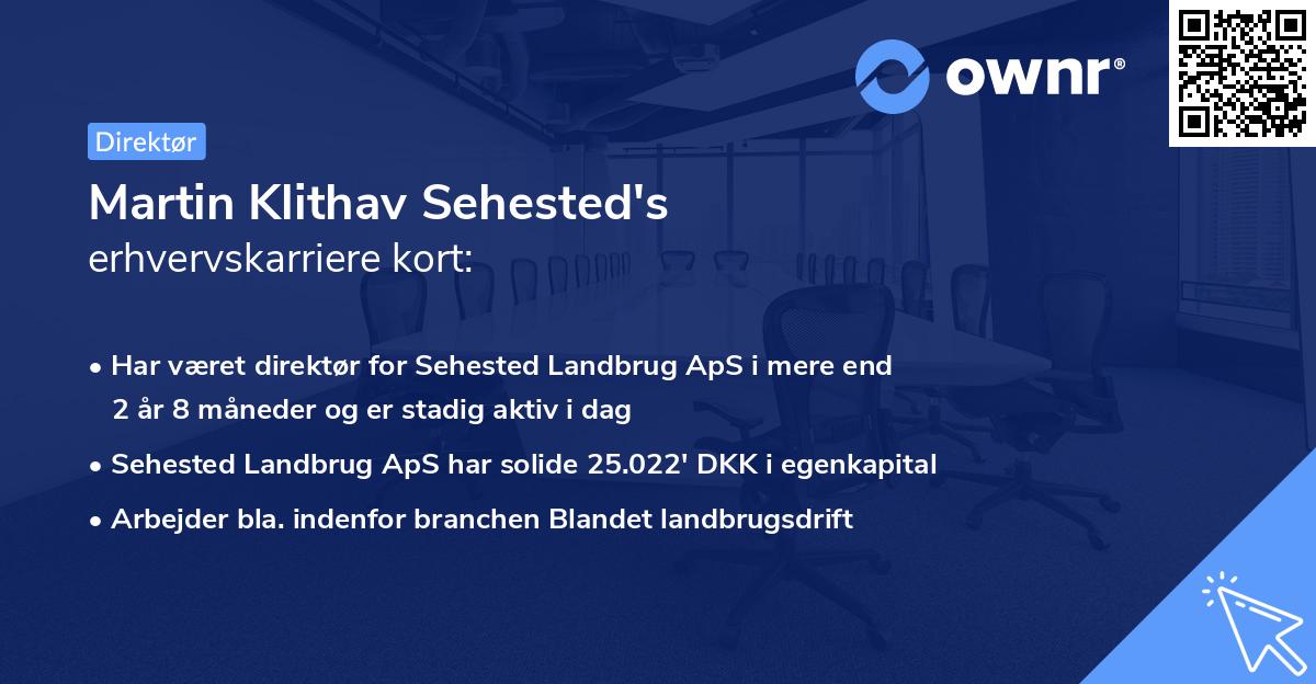 Martin Klithav Sehested's erhvervskarriere kort