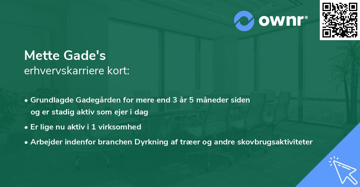 Mette Gade's erhvervskarriere kort