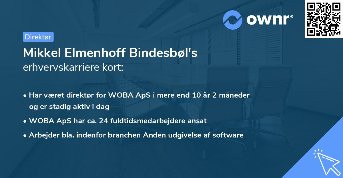 Mikkel Elmenhoff Bindesbøl's erhvervskarriere kort