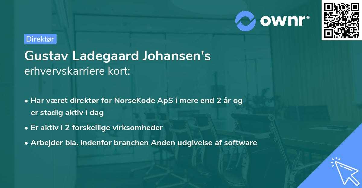 Gustav Ladegaard Johansen's erhvervskarriere kort