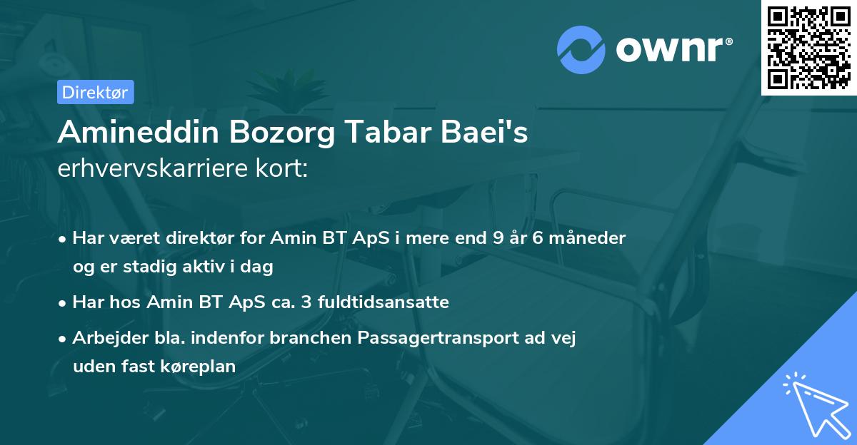 Amineddin Bozorg Tabar Baei's erhvervskarriere kort