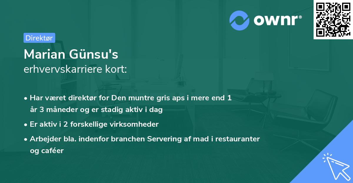 Marian Günsu's erhvervskarriere kort
