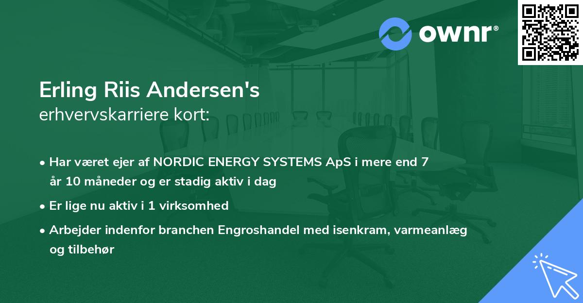 Erling Riis Andersen's erhvervskarriere kort