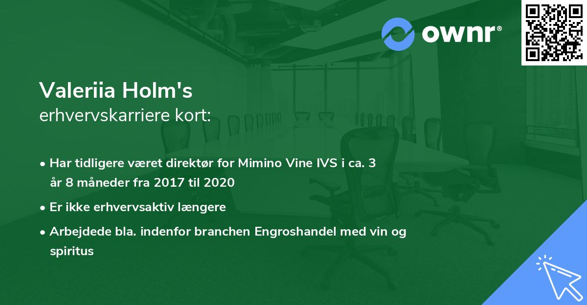 Valeriia Holm's erhvervskarriere kort