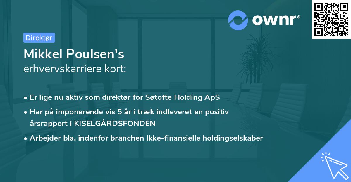 Mikkel Poulsen's erhvervskarriere kort