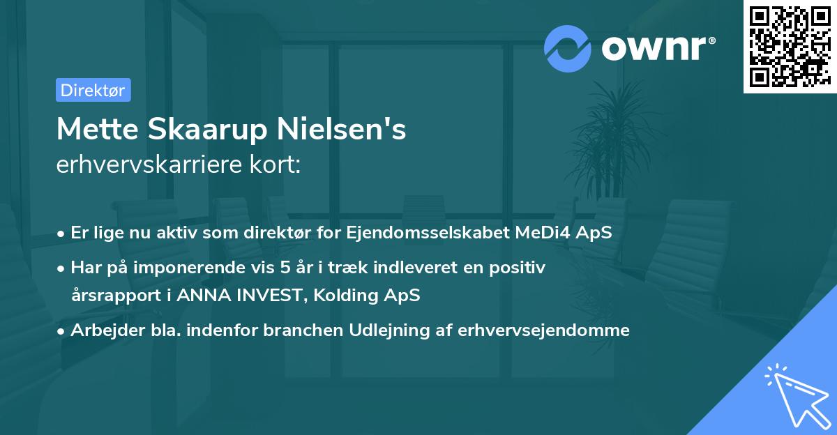 Mette Skaarup Nielsen's erhvervskarriere kort