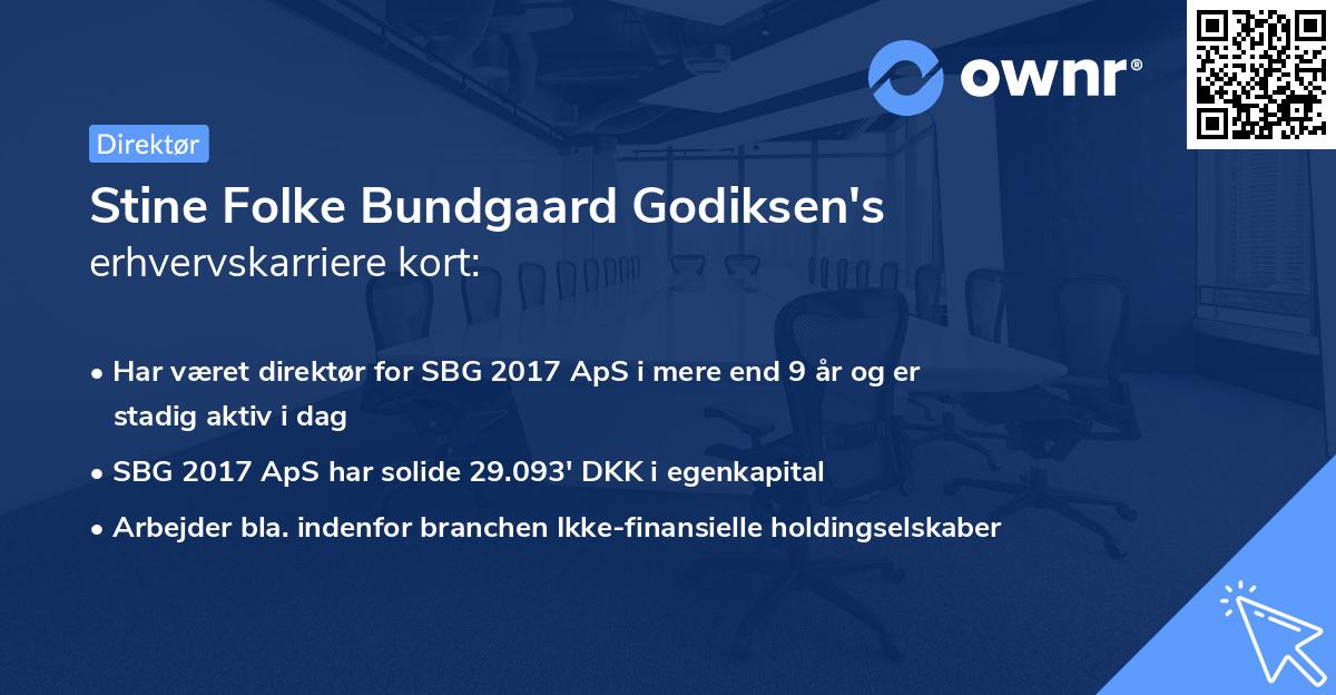 Stine Folke Bundgaard Godiksen's erhvervskarriere kort