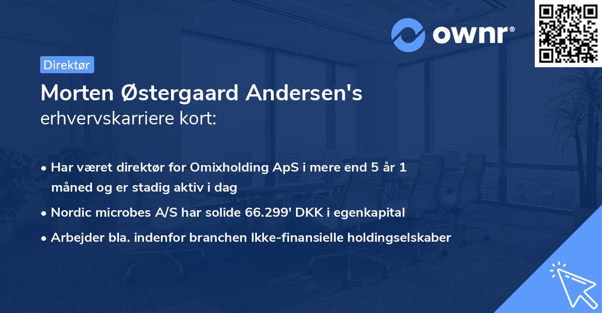 Morten Østergaard Andersen's erhvervskarriere kort