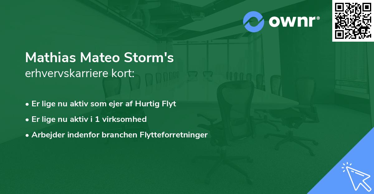 Mathias Mateo Storm's erhvervskarriere kort