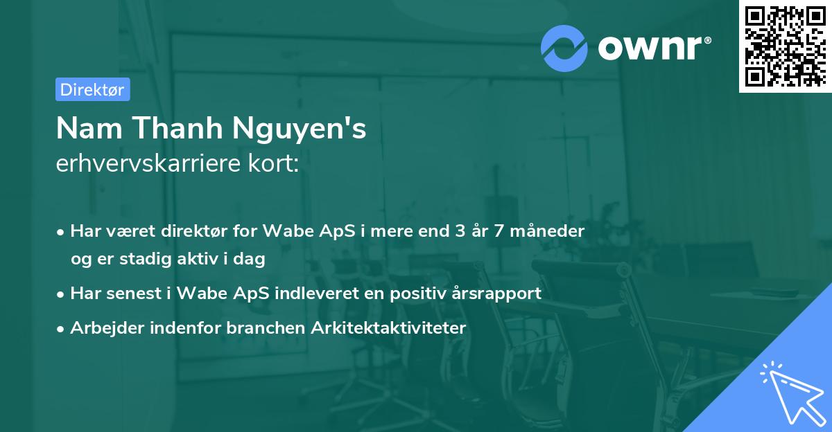 Nam Thanh Nguyen's erhvervskarriere kort