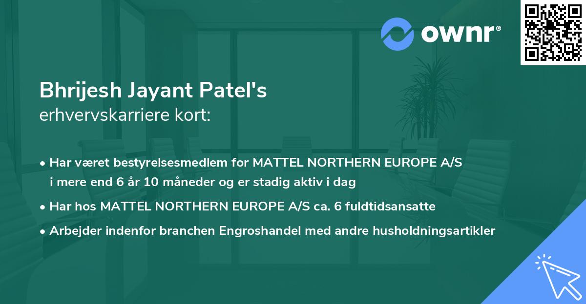 Bhrijesh Jayant Patel's erhvervskarriere kort