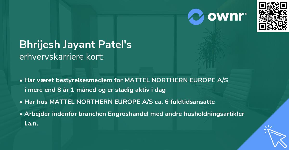 Bhrijesh Jayant Patel's erhvervskarriere kort
