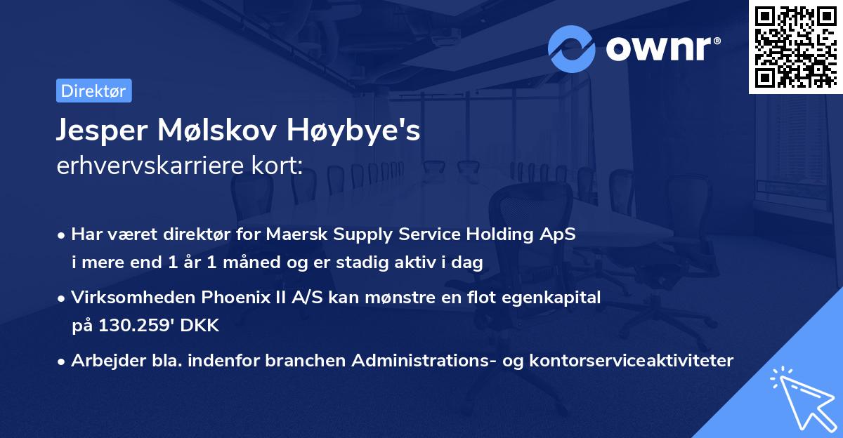 Jesper Mølskov Høybye's erhvervskarriere kort