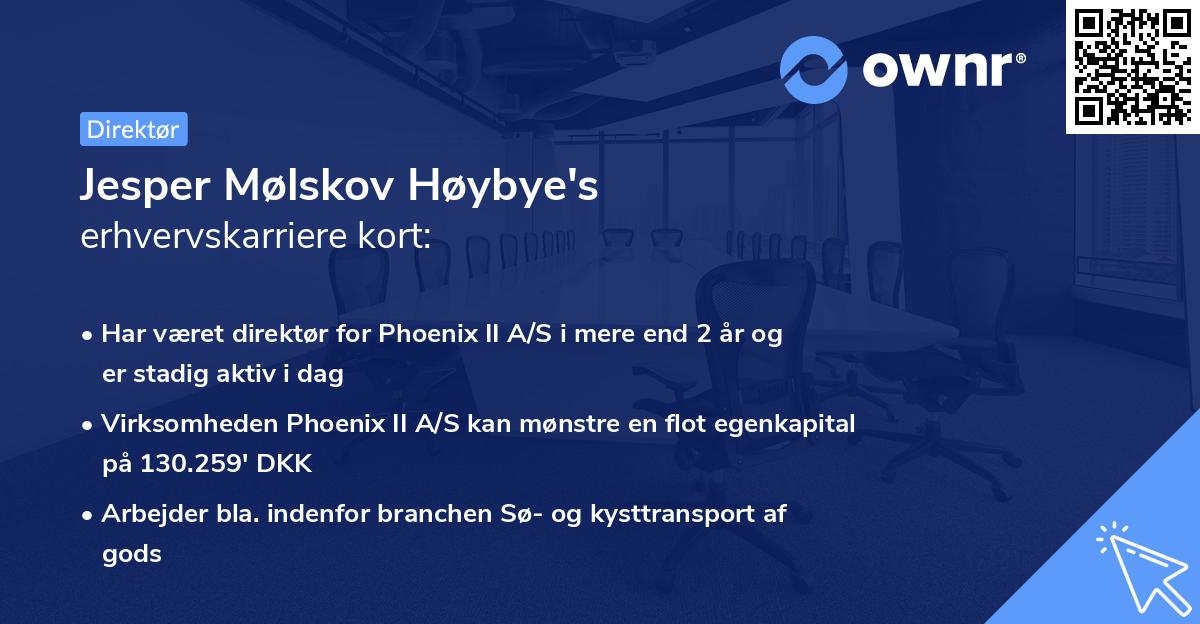 Jesper Mølskov Høybye's erhvervskarriere kort