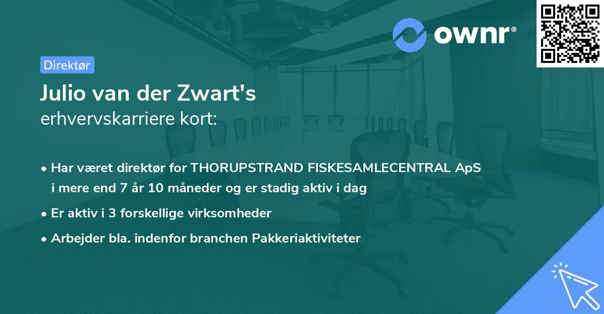 Julio van der Zwart's erhvervskarriere kort