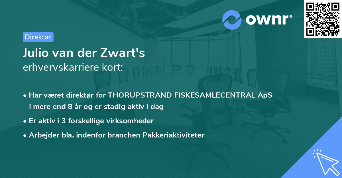 Julio van der Zwart's erhvervskarriere kort