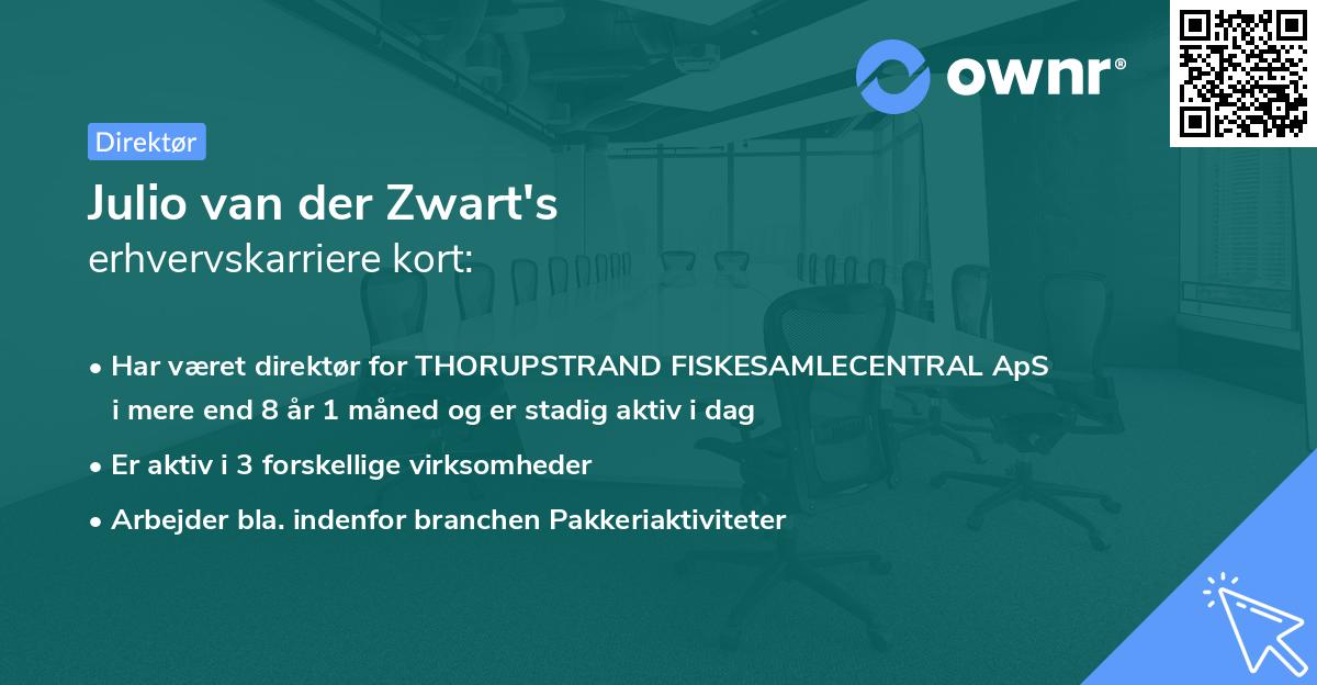 Julio van der Zwart's erhvervskarriere kort