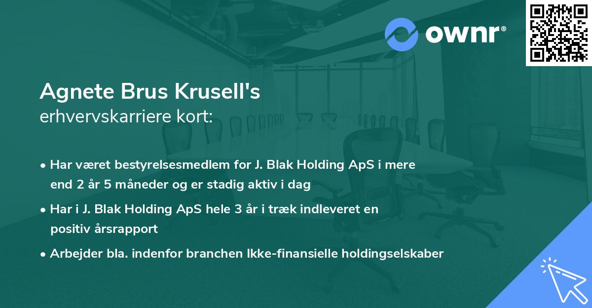 Agnete Brus Krusell's erhvervskarriere kort