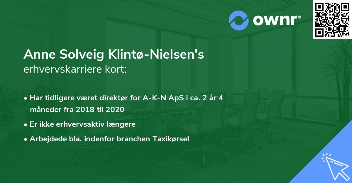 Anne Solveig Klintø-Nielsen's erhvervskarriere kort