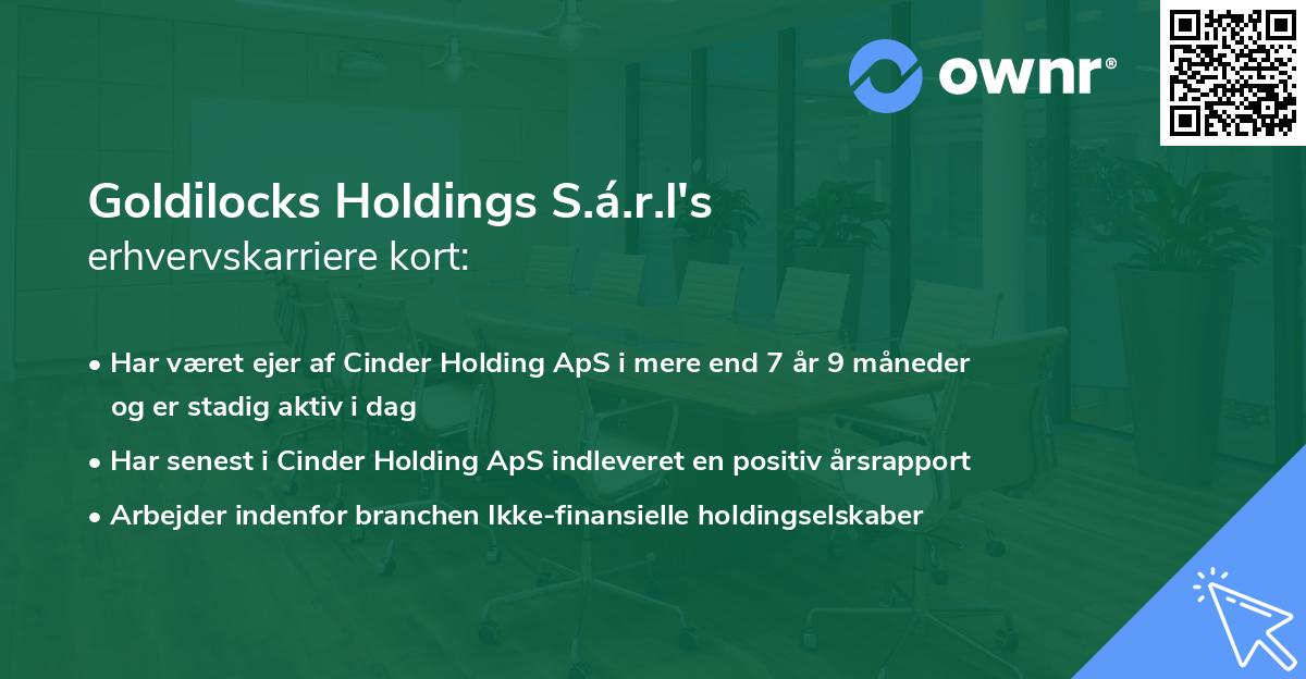 Goldilocks Holdings S.á.r.l's erhvervskarriere kort